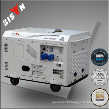 Bison China Zhejiang New Brand Silent Diesel Generator For Sale